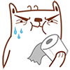 ��ë���qq���������