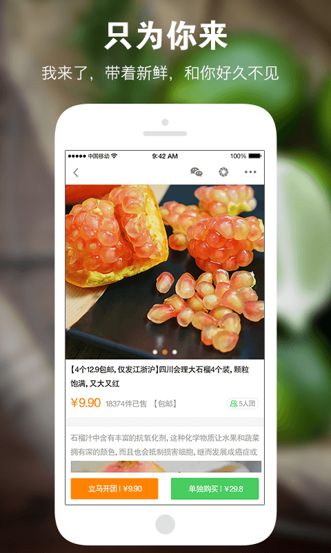 Ѱʳ��˵�ֻ�������v1.0.1 ��׿��