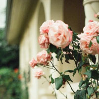�⾳LOMO��ռ�ͼƬΨ�� ����һ��¶�����˿���