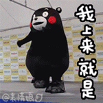 kumamon���������9p