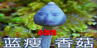 �����㹽��Ϸ��ȫ