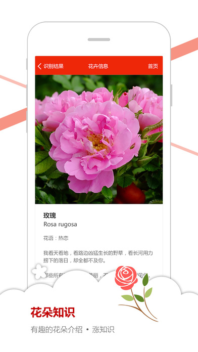 微软识花电脑版下载1.0 官方版