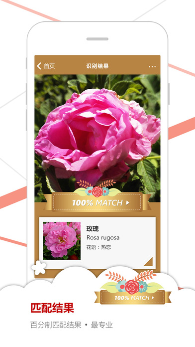 微软识花电脑版下载1.0 官方版