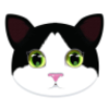 ����èapp�ٷ�����v1.1.1 ������Ѱ�