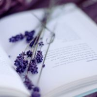 ΢��һ�仰����ǩ��2016���°� ����û�б�΢�İ�