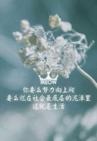�ȽϾ����˸д��ֵ�Ƥ��ͼƬ ����Ϊ����΢����