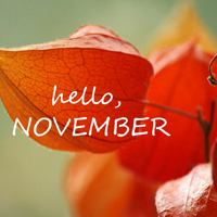 ʮһС·羰ͷ hello November羰ͷ