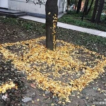 707e96d5gw1fa71uknrlaj20ck0bsdhv.jpg