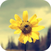 ����ʶ��app����v2.0.1 ���°�