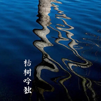 ��Ԫ��Ψ�����⾳�ĸ���ͼƬ ����Ⱦ�ƿ�������