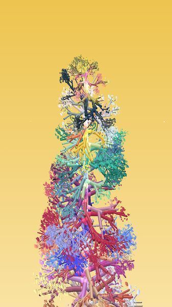 մ���ǲ� : Spin Tree���İ�����v1.0.7 ��׿��