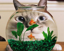 �����ճ��򵥵�����˵˵��ȫ�� ������ɱ�����