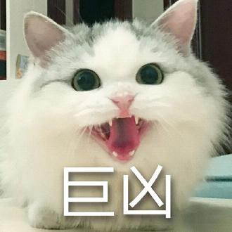 ��ͷ���ױ�������°�