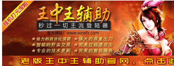 王中王辅助官方版6.0 官方版