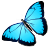 �װ��Ա���Ա��������1.30 ��ɫ��