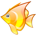 ����ȫ�Զ�ˢ��ע����1.0 ��Ѱ�