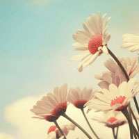 ���ڻ���ͼƬС�����ز� ������ң���ɼ�������