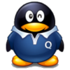 QQ�ȼ�100�����ٹ�������1.0 ��ɫ��