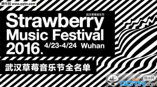 2016武汉草莓音乐节 2016武汉草莓音乐节