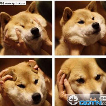 52fuqing.com_