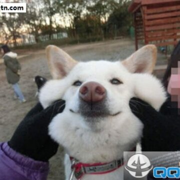 52fuqing.com_