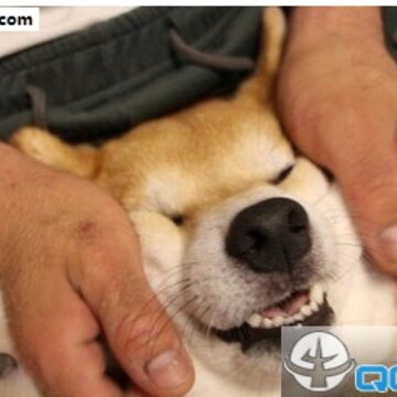52fuqing.com_