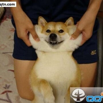 52fuqing.com_