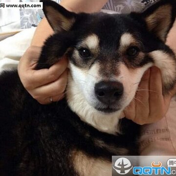 52fuqing.com_