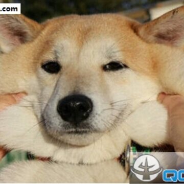52fuqing.com_