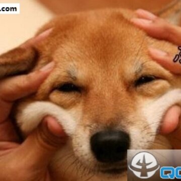 52fuqing.com_