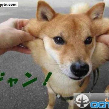 52fuqing.com_