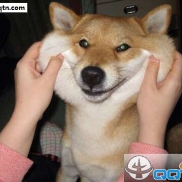 52fuqing.com_