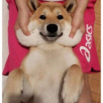 52fuqing.com_