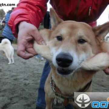 52fuqing.com_