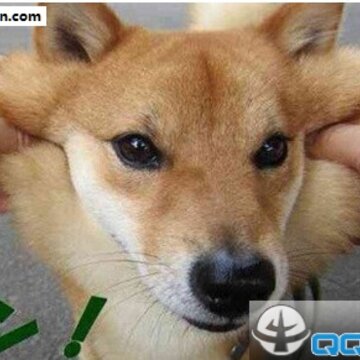 52fuqing.com_