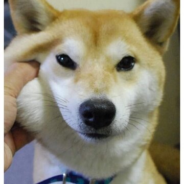 52fuqing.com_