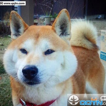52fuqing.com_