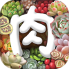 ����ֲ��APP����v2.4.1 ���°�
