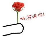 �����㻨QQ���������6ö