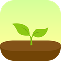 Forest app����v3.35 ���°�