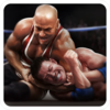 ��ʵˤ����Ϸ����Real Wrestling 3Dv1.3.4 ���°�