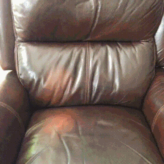 ��������gif������ͼ9������