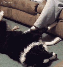 ��������gif������ͼ9������
