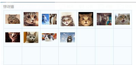 惊讶猫QQ表情最新版