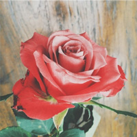 5.14õ�����˽�����˵˵ ����һ������������һ�����Ჹ��