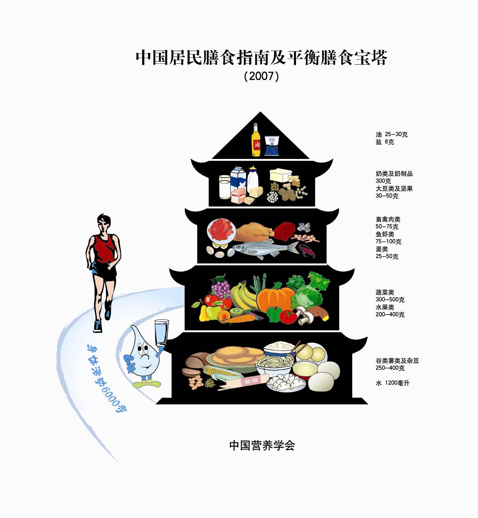 中国居民膳食指南2007电子版下载完整版