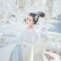 ����һ���ֵ����������־�ѡ �й��µ�һ��������