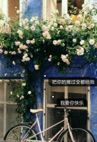 qq��Ƭ����͸��ͼƬ��ȫ ������ѹ�ȫ������