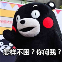 熊本熊系列卖萌带字表情 熊本熊四季犯困表情包