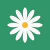 ������app����v1.0-b1186 �ٷ���